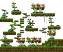 In a Small Forest