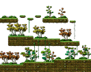 Dangerous Forest
