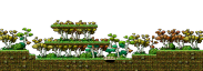 The Blue Mushroom Forest