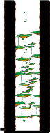 Tree Dungeon, Monkey Forest I