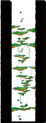 Dungeon, Southern Forest II