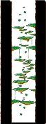 Dungeon, Southern Forest IV