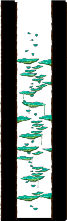 Tree Dungeon, Forest Up North I