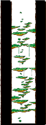 Tree Dungeon, Forest Up North III