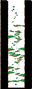 Tree Dungeon, Forest Up North V