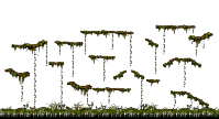 The Swamp of Despair III