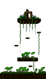 Damp Forest