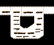 Ant Tunnel II
