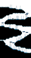 Another Path