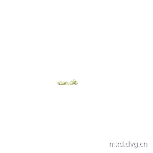 快速剑 动画
