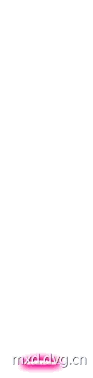 祝福 动画