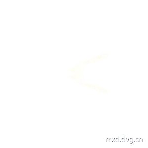 圣箭术 动画