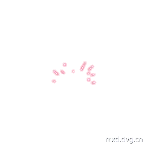 终极弩 动画