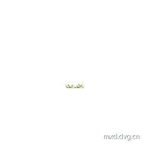 轻功 动画